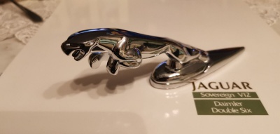 Jaguar Leaper